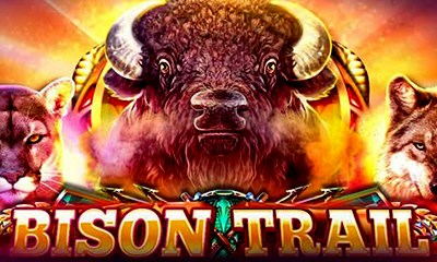 Bison Trail