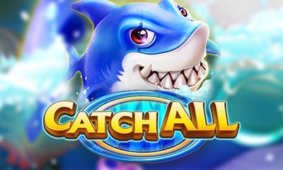 Catch All