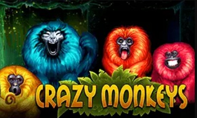 Crazy Monkeys