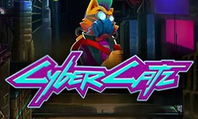 Cyber Catz