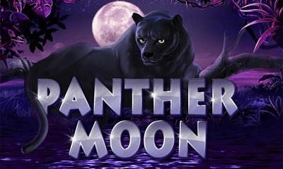 Panther Moon