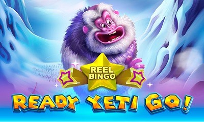 Ready Yeti Go + Reel Bingo