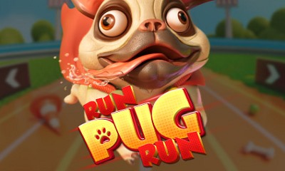 Run Pug Run