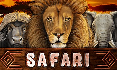 Safari