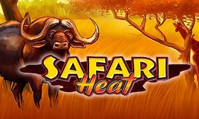 Safari Heat