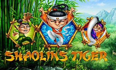 Shaolins Tiger