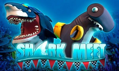 Shark Meet