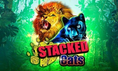 Stacked Cats