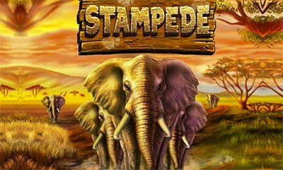 Stampede