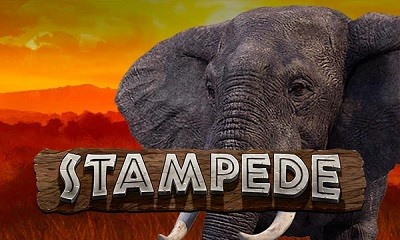 Stampede