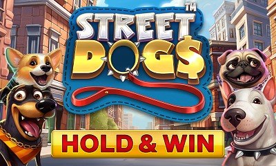 Street Dogs