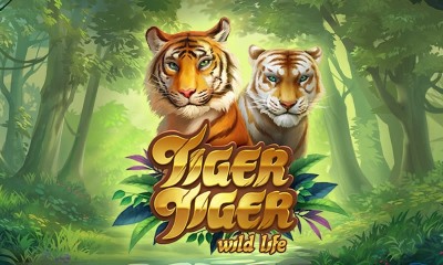 Tiger Tiger