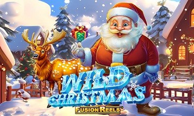 Wild Christmas
