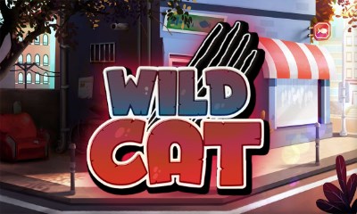 Wild Cat