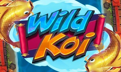 Wild Koi
