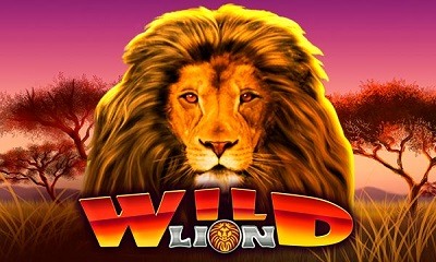 Wild Lion