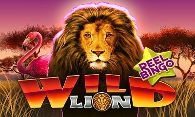 Wild Lion Reel Bingo