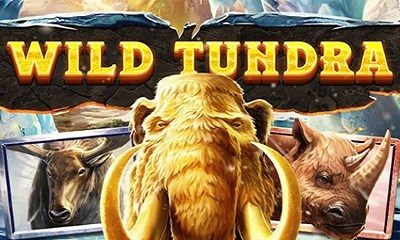 Wild Tundra